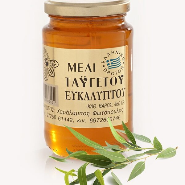 Miód eukaliptusowy 460 g