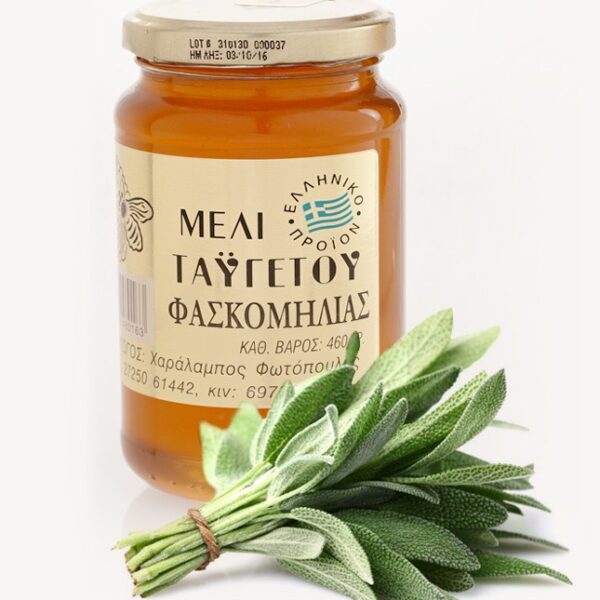 Miód szałwiowy 460 g