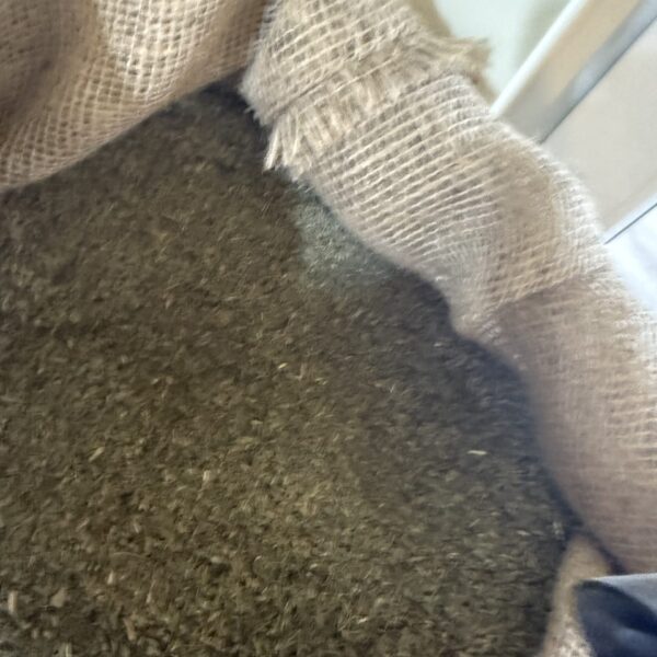 Tymianek Egipt 7.94 100 g