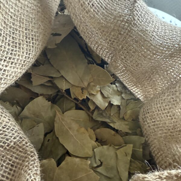 Liść laurowy 100g  Egipt