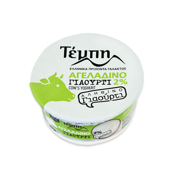 Jogurt grecki 2% Tempi 500 g